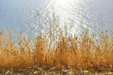 Similar image 7639197