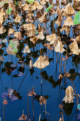 Similar image 7639225