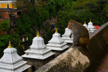 Similar image 7639252