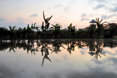 Similar image 7639286