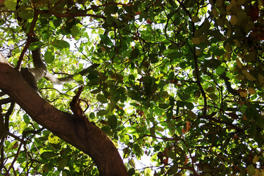 Similar image 7639302