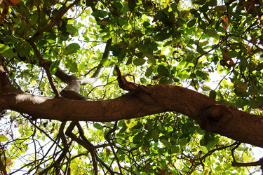 Similar image 7639303