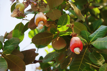 Similar image 7639304