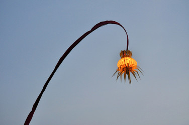 Similar image 7639369