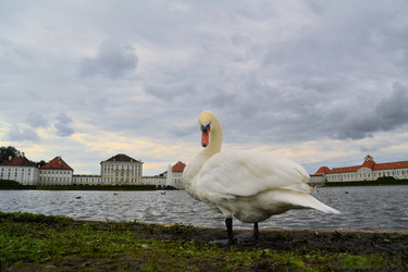 Similar image 7639411