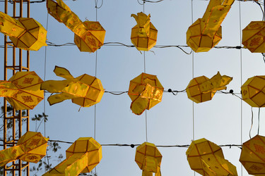 Similar image 7639429