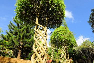 Similar image 7639454