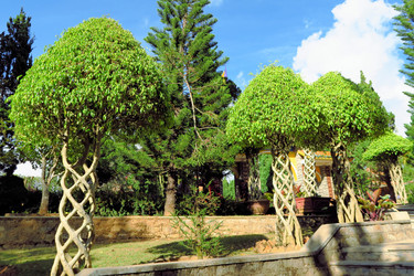 Similar image 7639455