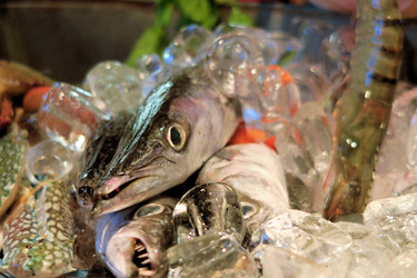 Similar image 7639496