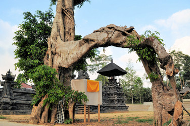 Similar image 7639578