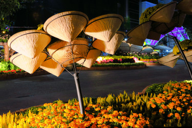 Similar image 7639583