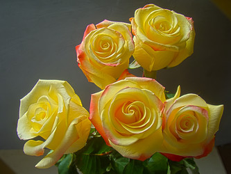 Similar image 7639897