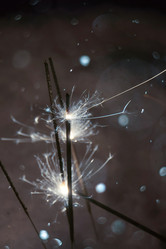 Similar image 7639931