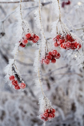 Similar image 7639952