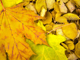 Similar image 7639963