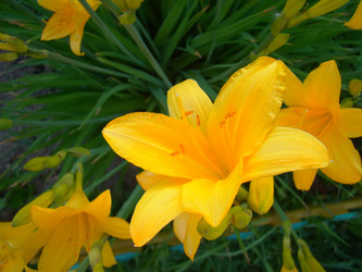 Similar image 7639965