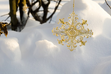 Similar image 7639968