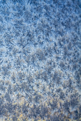 Similar image 7639971