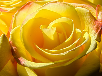 Similar image 7639992