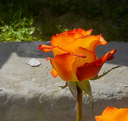 Similar image 7640015