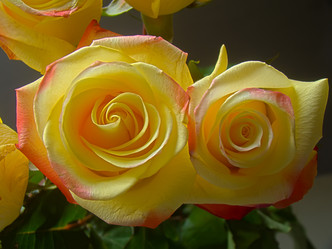 Similar image 7640018