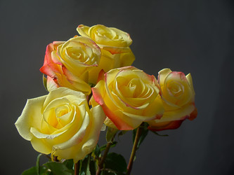 Similar image 7640020