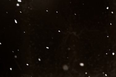 Similar image 7640032