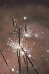 Similar image 7640041