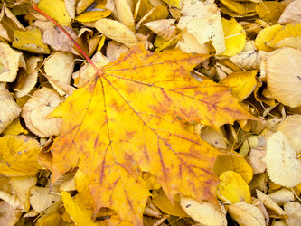 Similar image 7640045