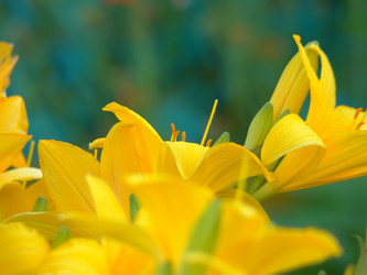 Similar image 7640047