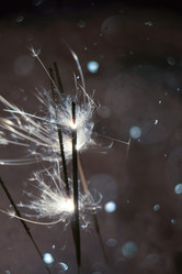 Similar image 7640052