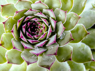 Similar image 7640058