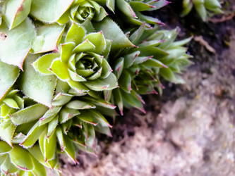 Similar image 7640059