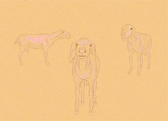 Similar image 7640085