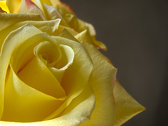 Similar image 7640092