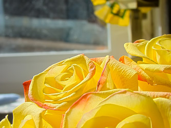 Similar image 7640093