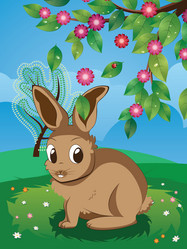 Similar image 7640096