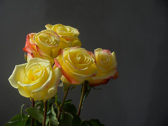 Similar image 7640102