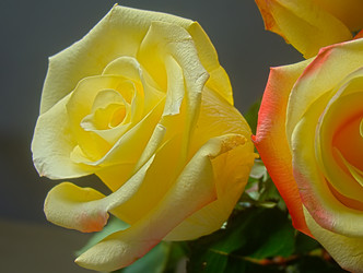 Similar image 7640110