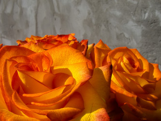 Similar image 7640118