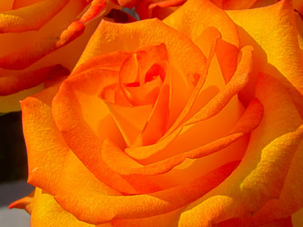 Similar image 7640119