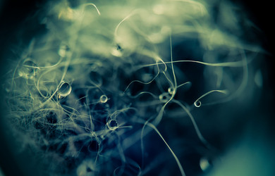 Similar image 7640123