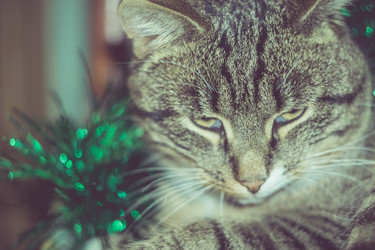 Similar image 7640157