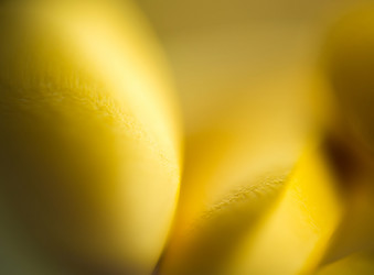 Similar image 7640198