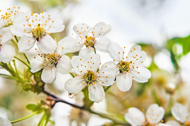 Similar image 7640214