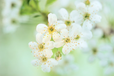 Similar image 7640216