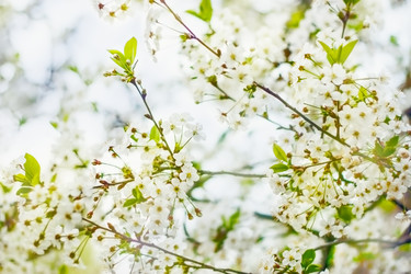 Similar image 7640218