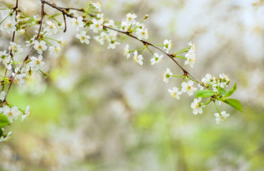 Similar image 7640219