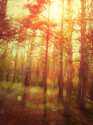 Similar image 7640286