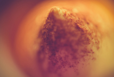 Similar image 7640289